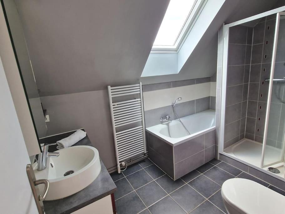 Les Glazons *T4* Olivet + Parking Apartment Екстериор снимка